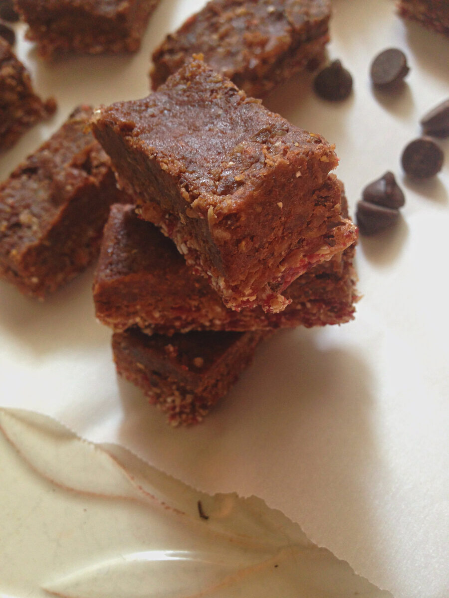 Gluten-Free Chocolate Chip Oat Cranberry Bars