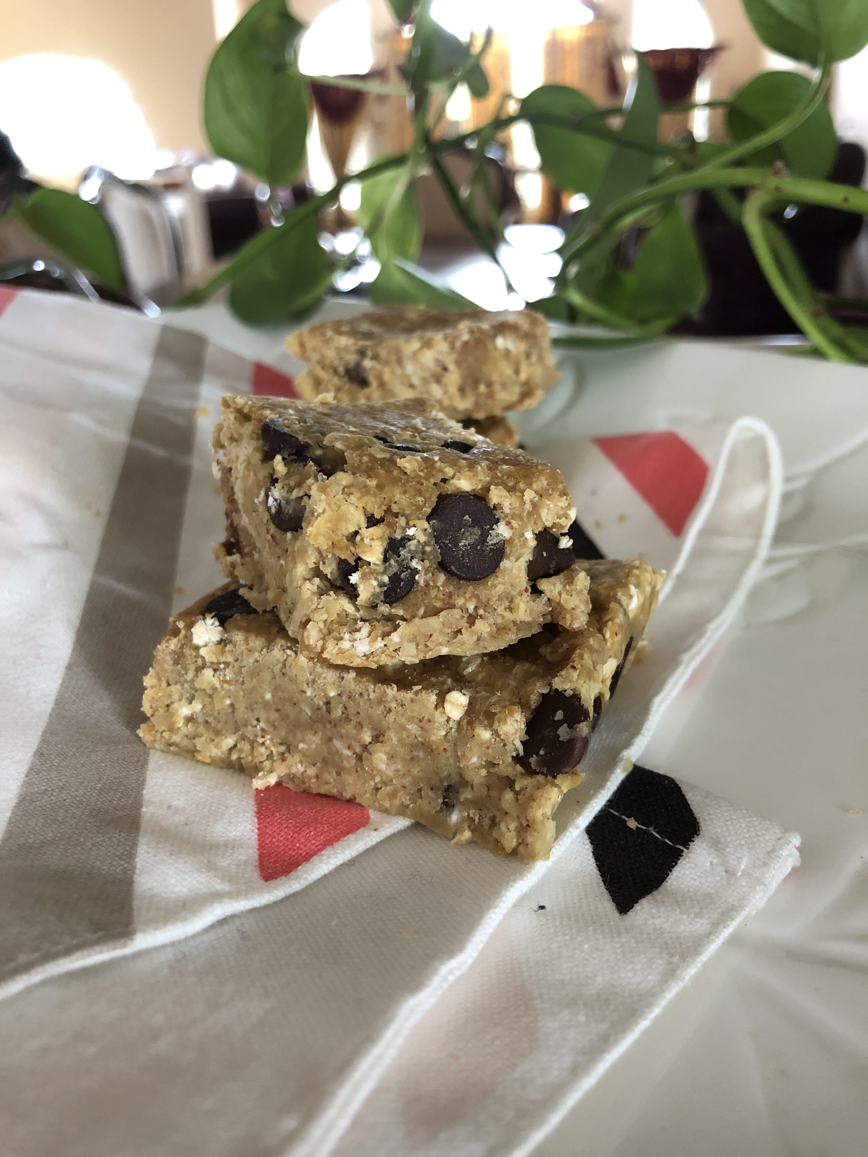 Vegan Chocolate Chip Protein Bars (Nut Free)