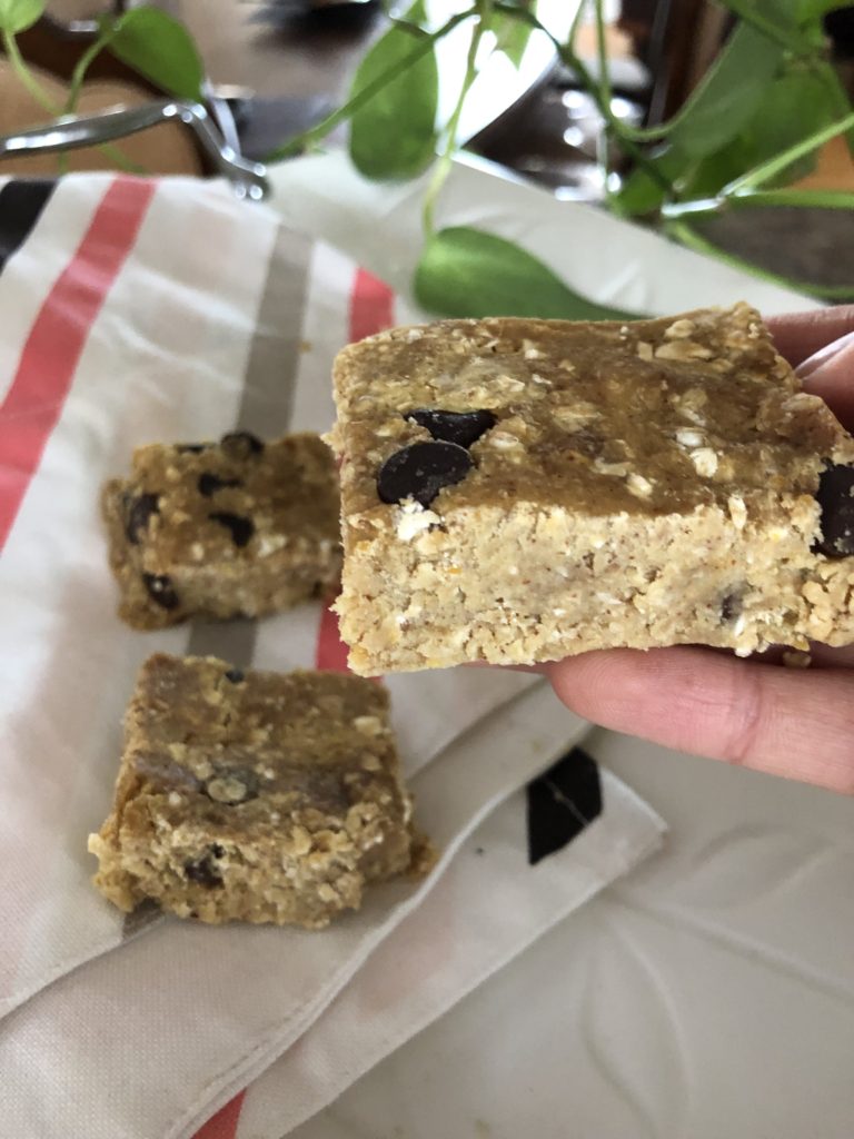 Vegan Chocolate Chip Protein Bars (Nut Free)