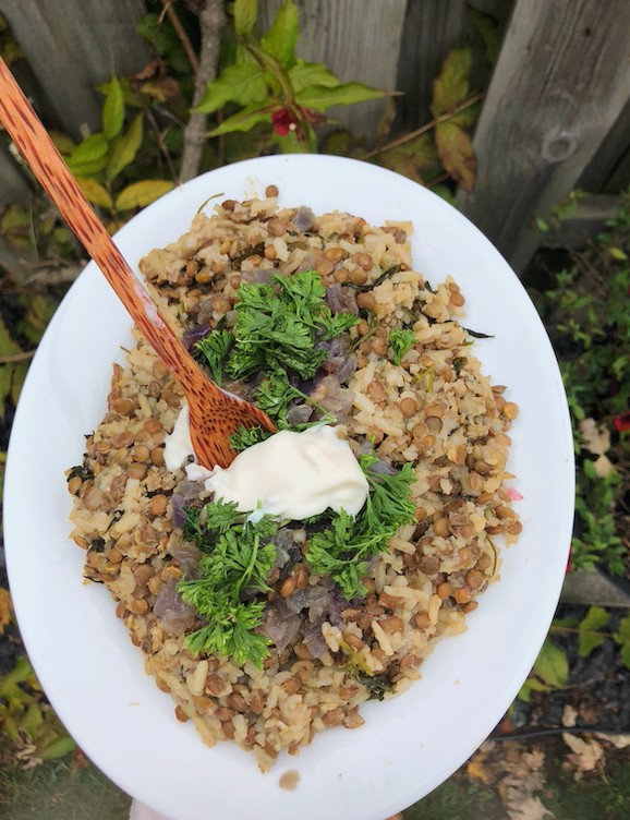 One Pot Mujadara (Lebanese Lentils & Rice)