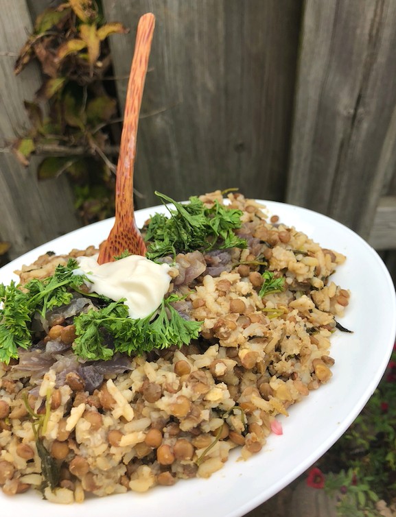 One Pot Mujadara (Lebanese Lentils & Rice)