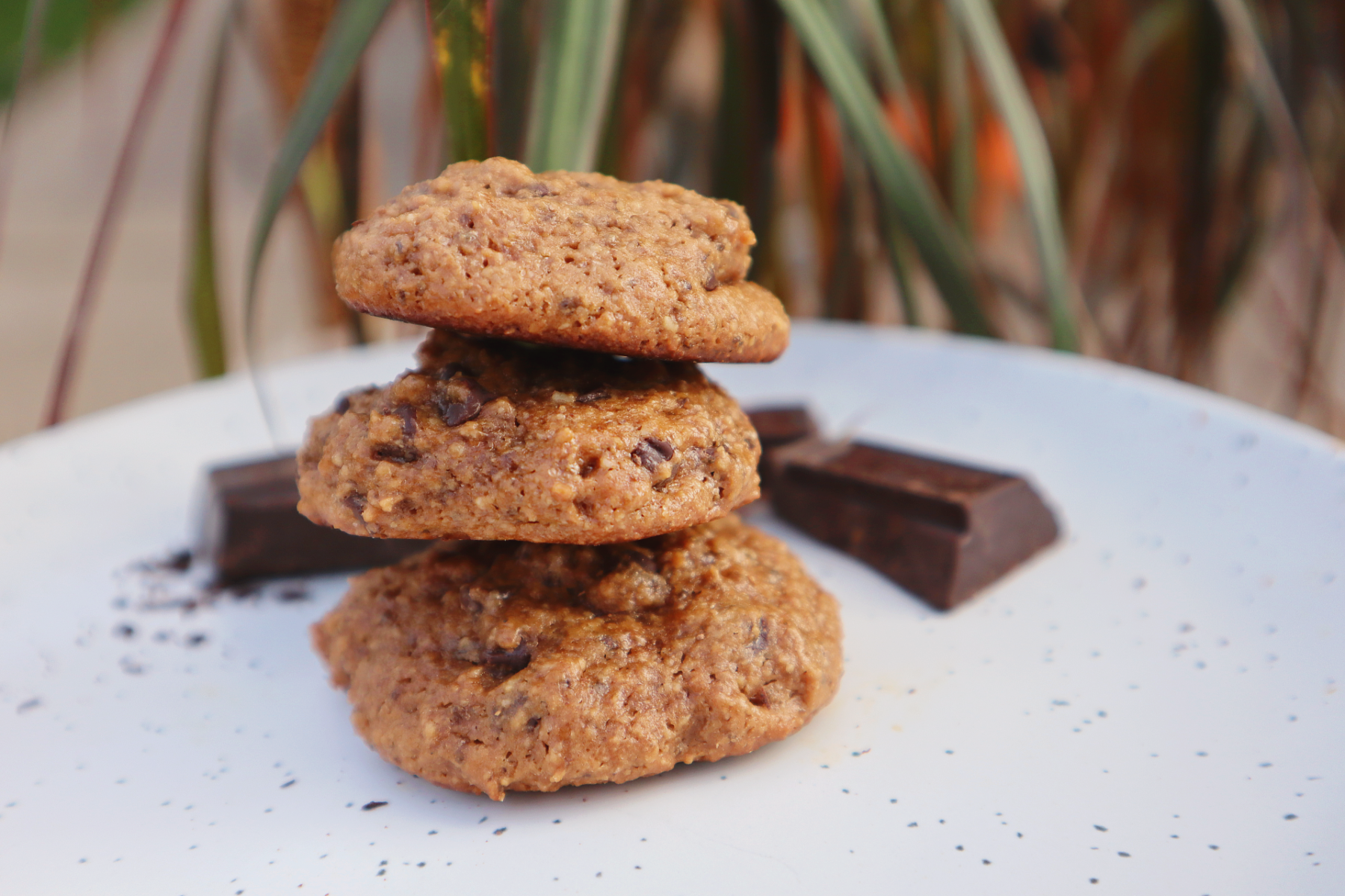 Dairy Free Chocolate Chip Cookies Recipe