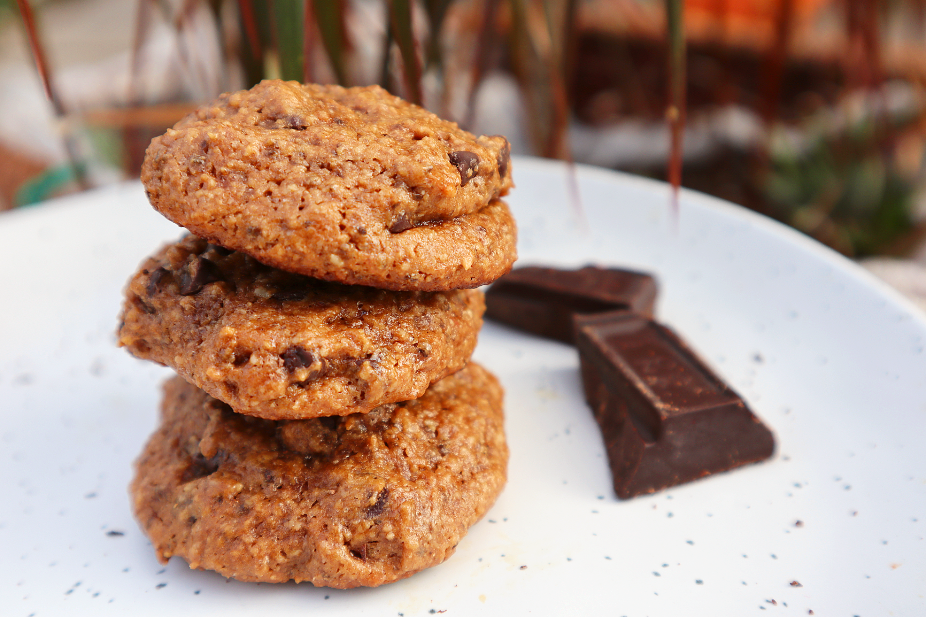 Dairy Free Chocolate Chip Cookies Recipe