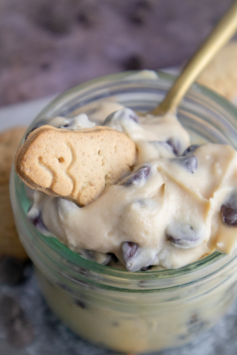 Chocolate Chip Cookie Dough Cheesecake Dip