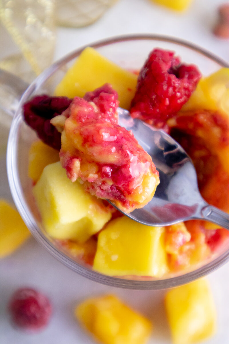 Dairy Free Mango Raspberry Swirl Sorbet Recipe