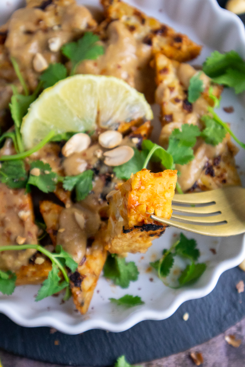 Vegan Sautéed Peanut Satay Tempeh Recipe